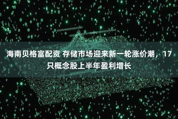 海南贝格富配资 存储市场迎来新一轮涨价潮，17只概念股上半年盈利增长